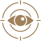 vision